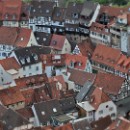 FC Sinsheim 01 Oechsner Petra Maria.jpg